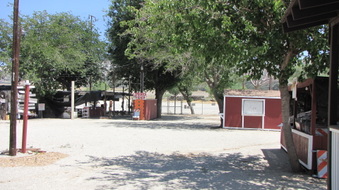 Enlarge photo 24