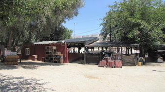 Enlarge photo 25