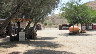 Enlarge photo 29