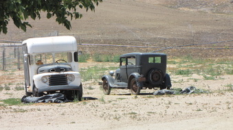 Enlarge photo 31