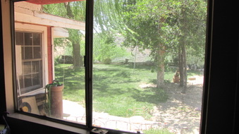 Enlarge photo 57