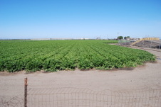 Enlarge photo 34