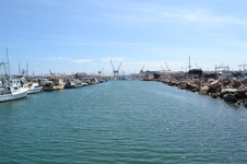 Enlarge photo 3