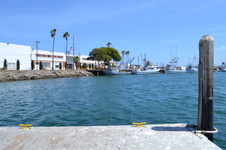 Enlarge photo 19