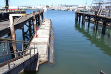 Enlarge photo 39