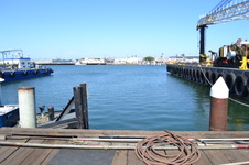 Enlarge photo 55