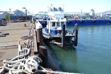 Enlarge photo 57