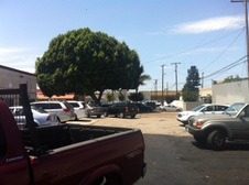 Enlarge photo 7
