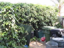 Enlarge photo 16