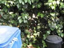 Enlarge photo 17
