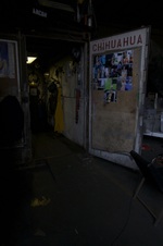 Enlarge photo 13