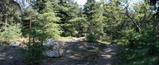 Enlarge photo 9
