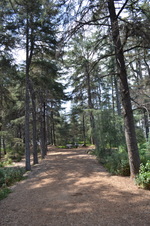 Enlarge photo 17