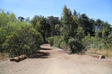 Enlarge photo 6