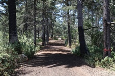 Enlarge photo 8