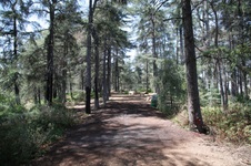 Enlarge photo 10