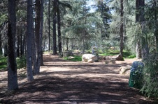 Enlarge photo 11