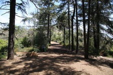 Enlarge photo 13