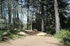 Enlarge photo 15