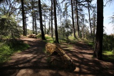 Enlarge photo 18