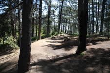 Enlarge photo 19