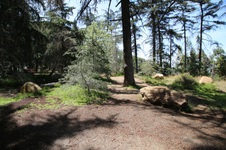 Enlarge photo 20