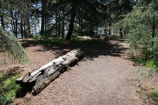 Enlarge photo 21