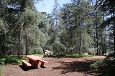 Enlarge photo 22