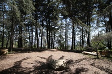 Enlarge photo 23