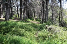 Enlarge photo 25