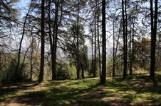 Enlarge photo 26