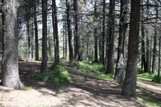 Enlarge photo 3