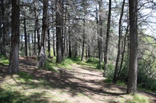 Enlarge photo 27