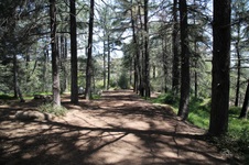 Enlarge photo 28