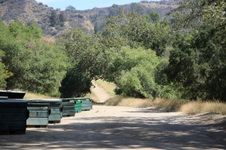 Enlarge photo 7