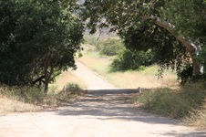 Enlarge photo 13