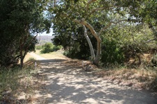 Enlarge photo 14