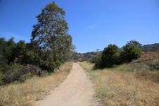 Enlarge photo 15