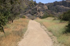Enlarge photo 16