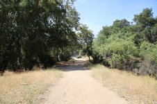 Enlarge photo 18