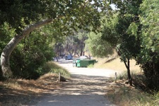 Griffith Park Fern Dell Trail Head