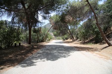 Griffith Park Toyon Canyon