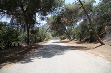 Enlarge photo 8