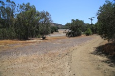 Enlarge photo 16