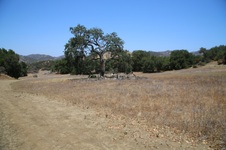 Enlarge photo 26