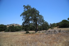 Enlarge photo 28
