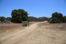 Enlarge photo 30