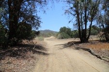 Enlarge photo 32