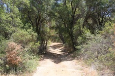 Enlarge photo 36