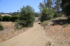 Enlarge photo 37